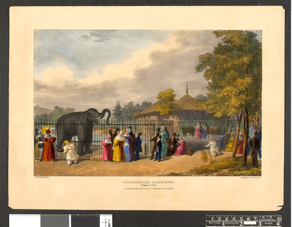 Zoological Gardens. Regent's Park. (BM 1862,1108.579 1)