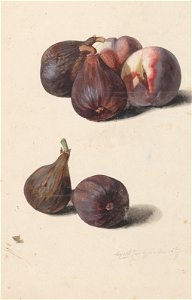 Leopold Zinnögger - Feigen und Pfirsiche (1833)