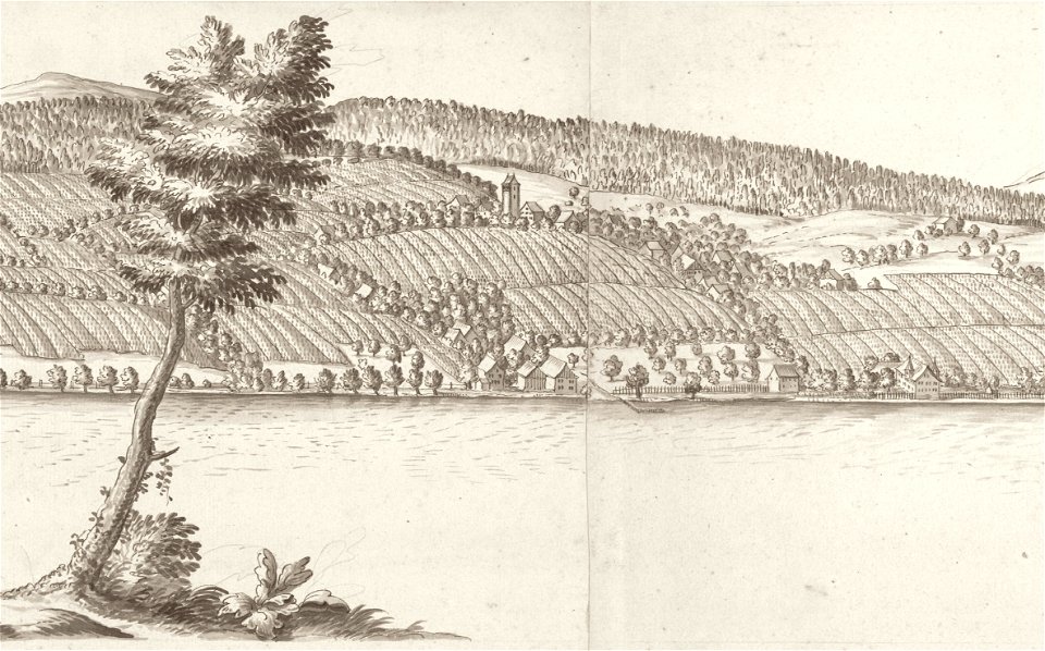 Zollikon Hoffmann