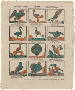 Ziet, lieve jeugd! dit pluimgediert'- - Veel landen zijn door hen versierd. - Vogels zijn u welbehagen, - Deez' print wordt u opgedragen