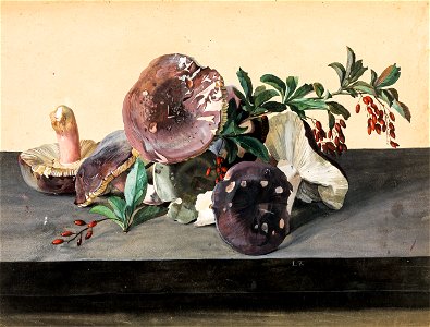 Leopold Zinnögger - Stillleben mit Pilzen