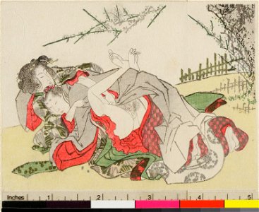 Zoi-cho 増衣帖 (Album of Gift Prints) (BM 1973,0723,0.35 081)