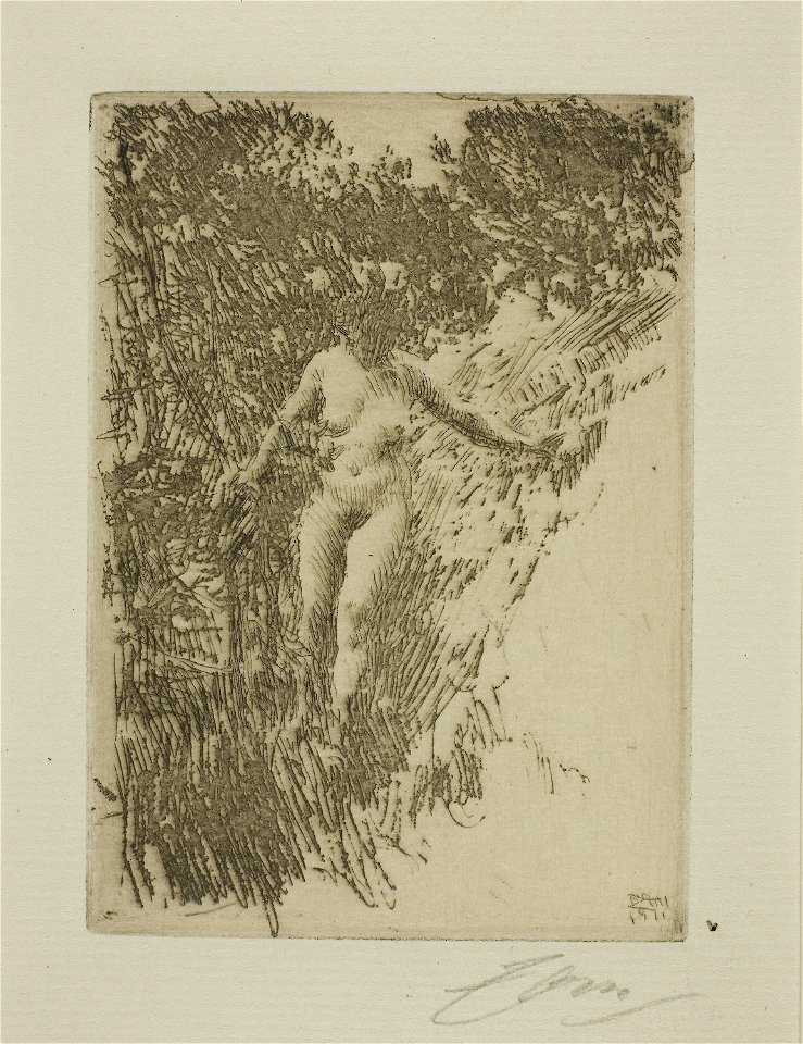 Zorn - Brushwood, 1927.2023