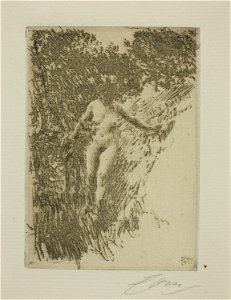 Zorn - Brushwood, 1927.2023