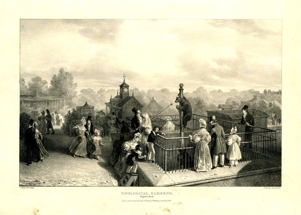 Zoological Gardens. Regent's Park. (BM 1862,1108.575)