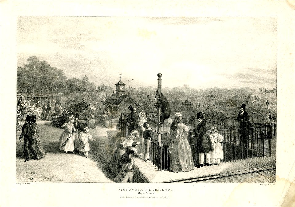 Zoological Gardens. Regent's Park. (BM 1954,1103.14)
