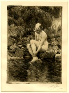 Zorn - Dagmar, 1924,0826.9