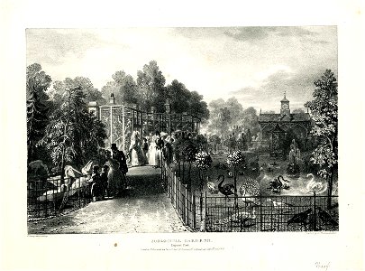 Zoological Gardens. Regent's Park. (BM 1862,1108.585)