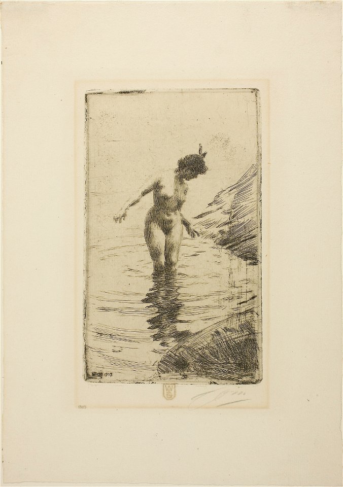 Zorn - Cercles d’eau II, 1913.1086