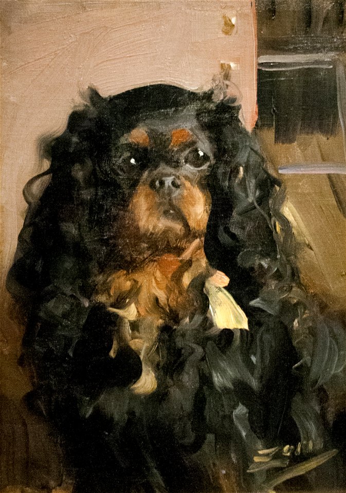 Zorn - Dog of Madame Rikoff