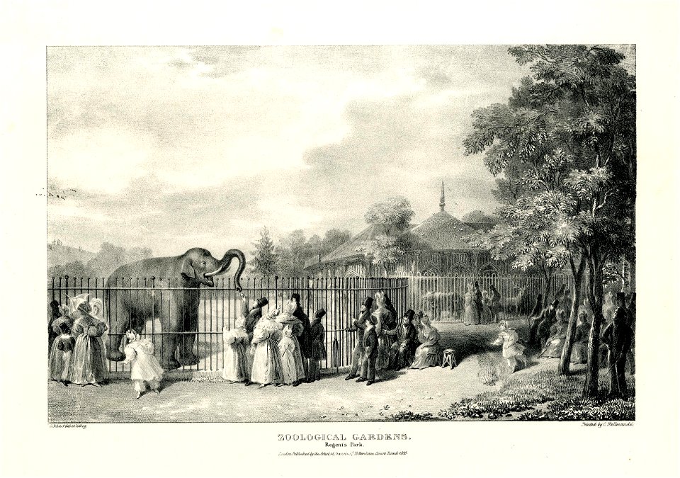 Zoological Gardens. Regent's Park. (BM 1862,1108.578)