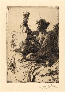 Zorn - Guitar Player, NMG 241898