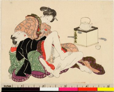 Zoi-cho 増衣帖 (Album of Gift Prints) (BM 1973,0723,0.35 035)
