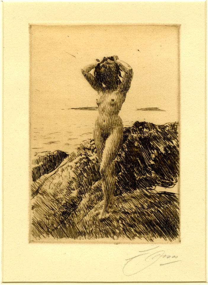 Zorn - Hårtång, 1924,0826.11