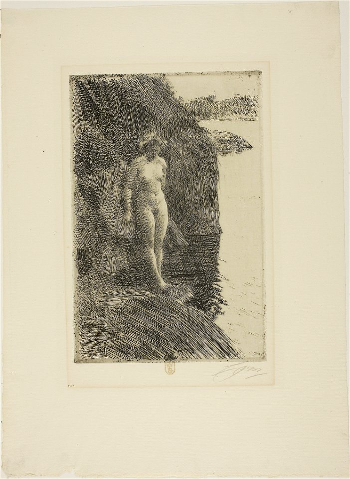 Zorn - Precipice, 1913.1099
