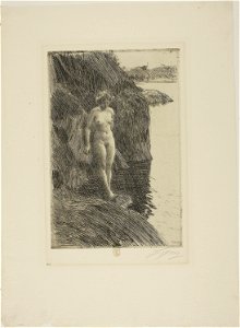 Zorn - Precipice, 1913.1099