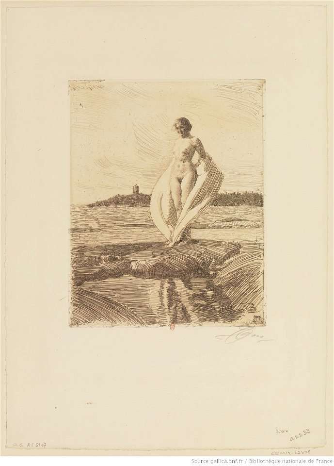 Zorn - Le cygne, 3e état, btv1b105229179