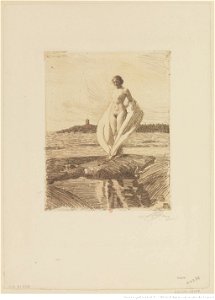 Zorn - Le cygne, 3e état, btv1b105229179