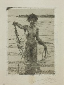 Zorn - Seaweed, 1913.1104