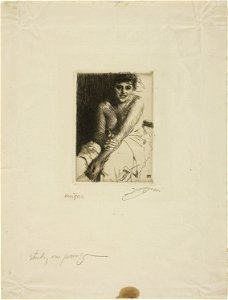 Zorn - Sitting Model, 1927.1847