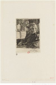 Zorn - Jeune norvégienne au piano, Mlle Gran, btv1b105228581
