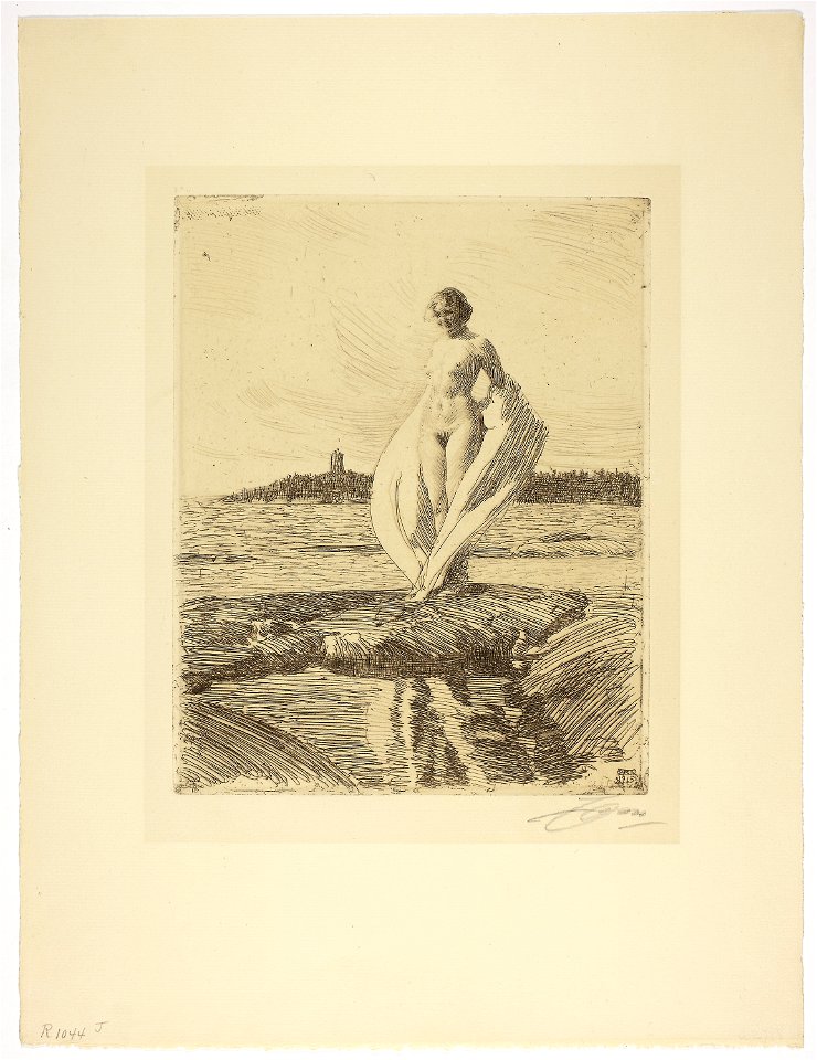 Zorn - The Swan, 1996.841
