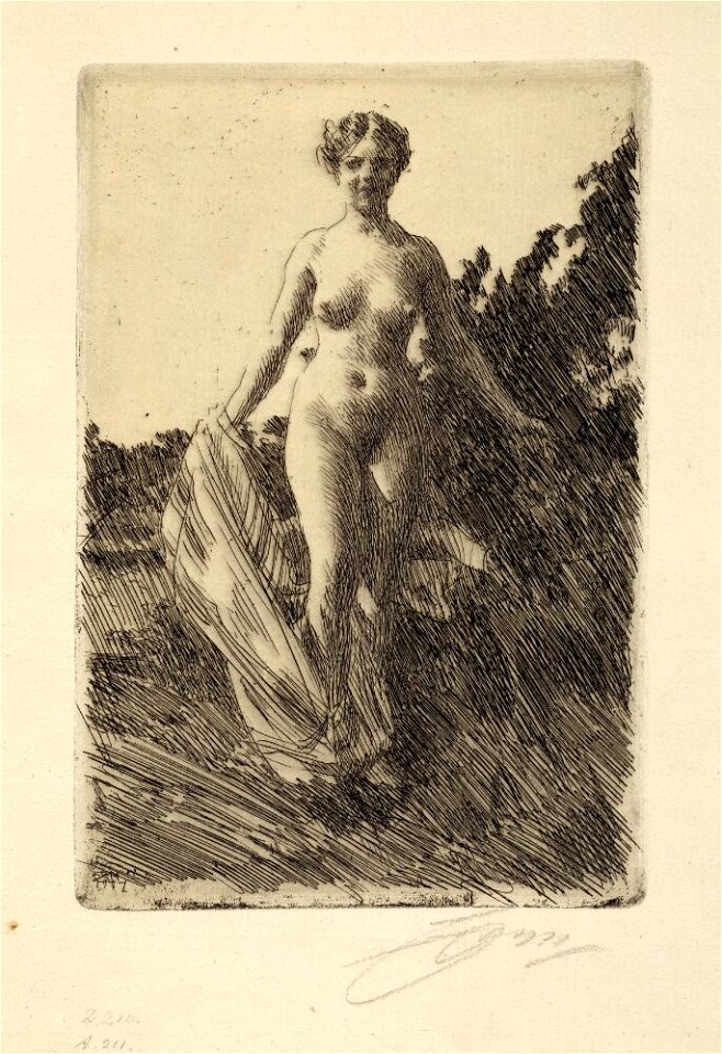 Zorn - Sommar, NMG 81908