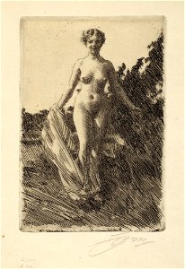 Zorn - Sommar, NMG 81908