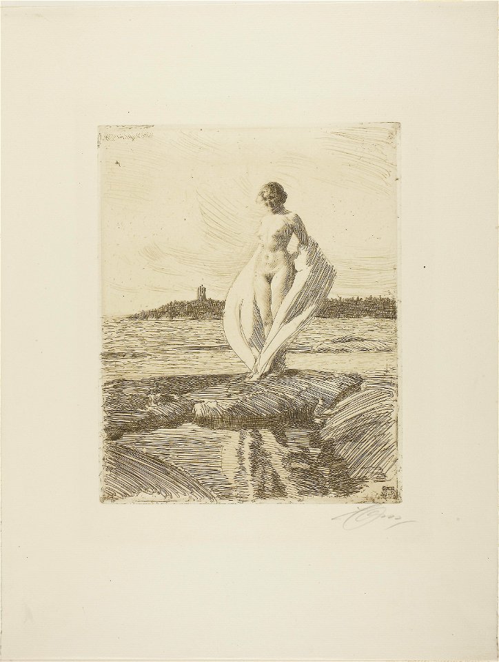 Zorn - The Swan, 1927.2063