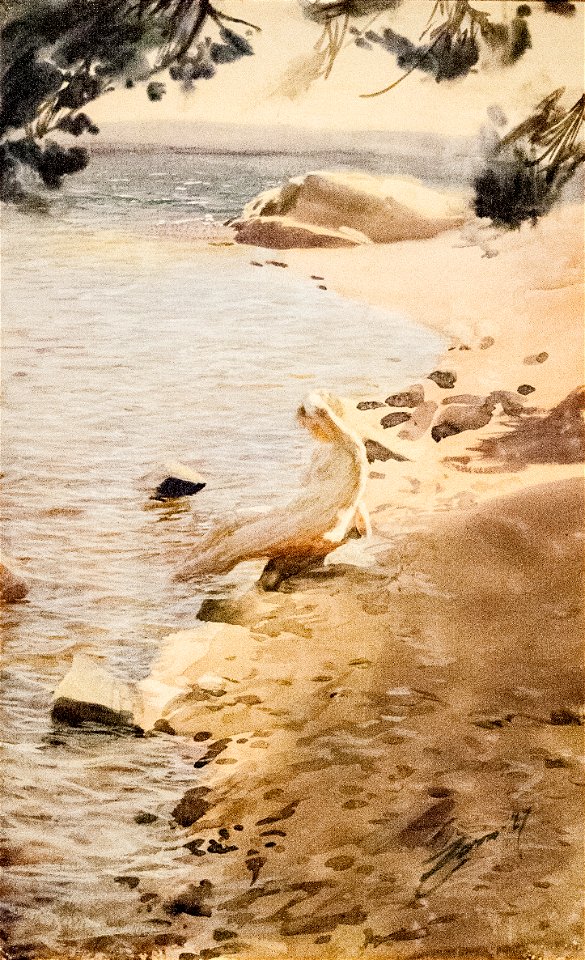 Zorn - Stockholm Archipelago, study