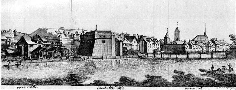 Zuerich Paradiesbollwerk 17