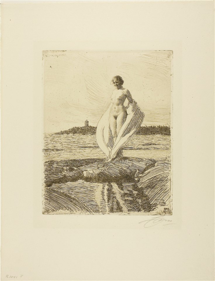 Zorn - The Swan, 1927.2062