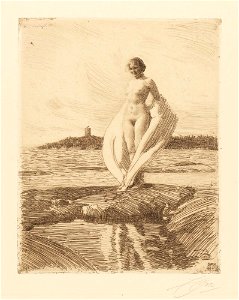 Zorn - The Swan, NMG 271916