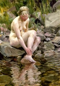 Zorn, Dagmar
