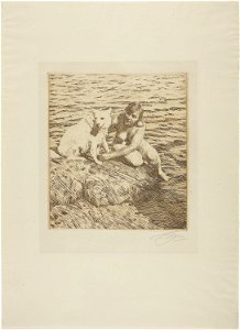 Zorn - Sappo, 1927.2084