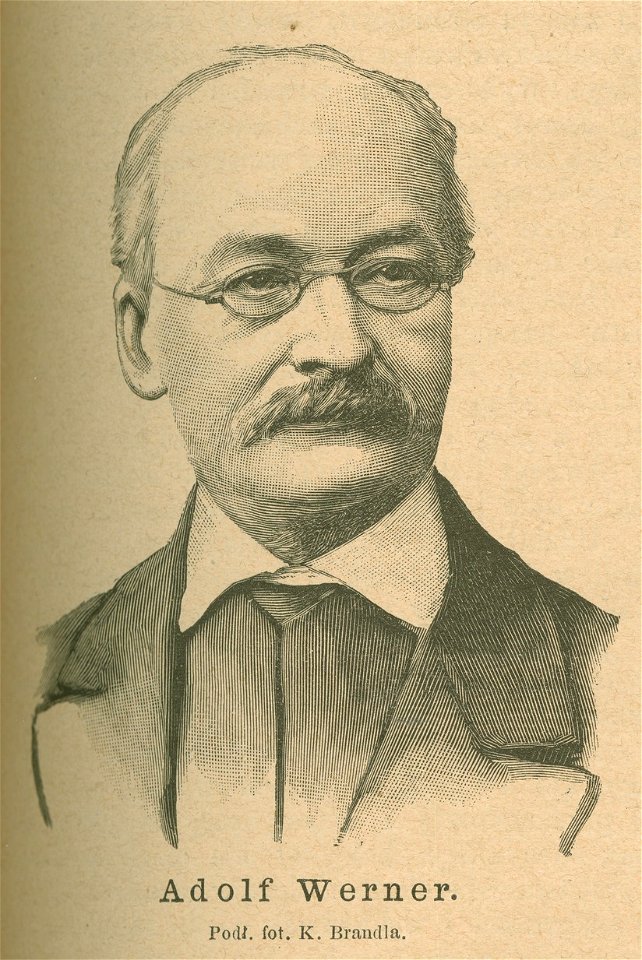 Adolf Werner Podług fot. K. Brandla (77847)