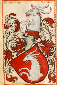 Züllenhard-Scheibler168