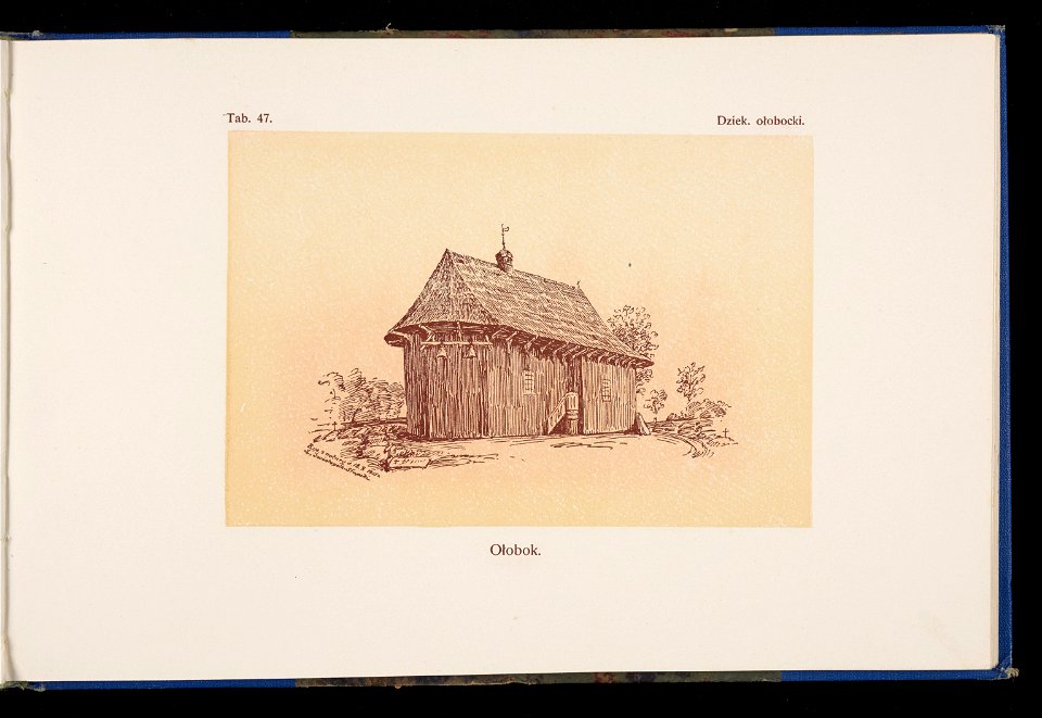 Album naszych zabytkow. T. 1, Koscioly drewniane. Cz. 1, Dyec. gnieznienska 1917 (83999140)