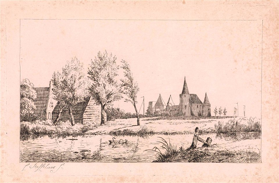Zwanen op het water en kasteel op de achtergrond