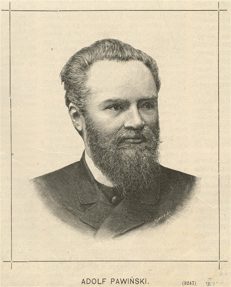 Adolf Pawiński (59698)