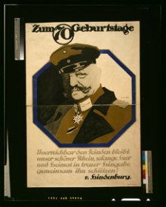 Zum 70. Geburtstage LCCN2004665863