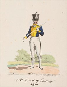 2 Pulk piechoty liniowey Officer 1829 (116297568)