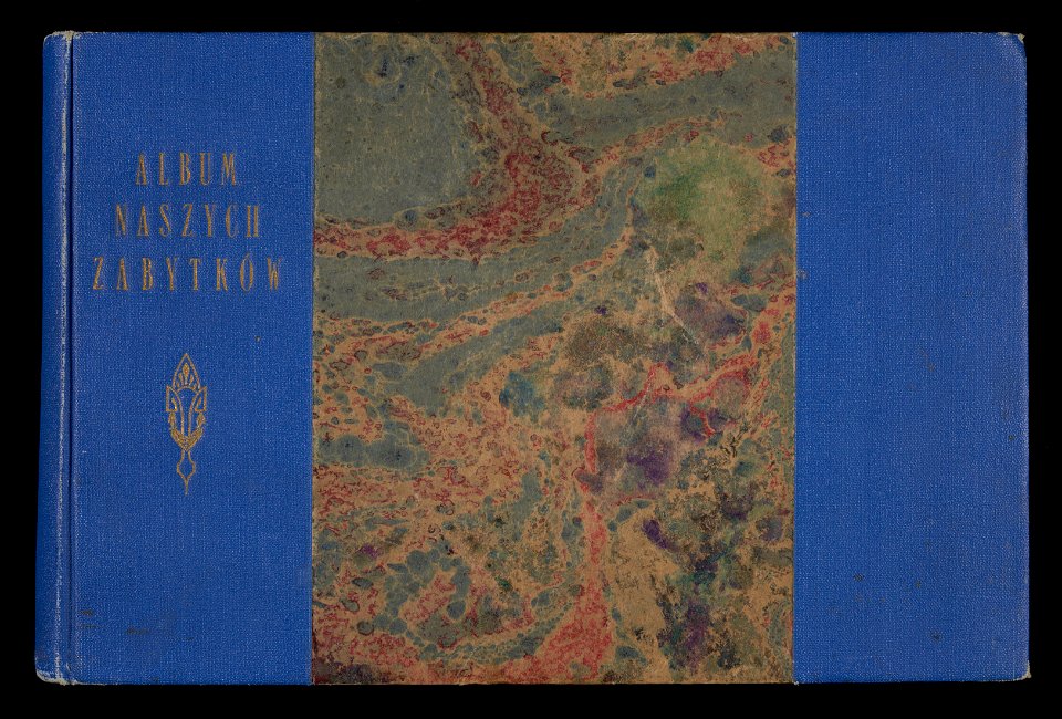 Album naszych zabytkow. T. 1, Koscioly drewniane. Cz. 1, Dyec. gnieznienska 1917 (83994235)