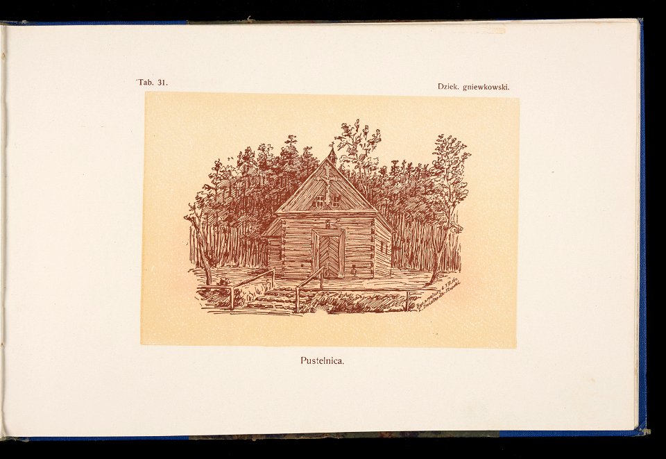 Album naszych zabytkow. T. 1, Koscioly drewniane. Cz. 1, Dyec. gnieznienska 1917 (83997734)