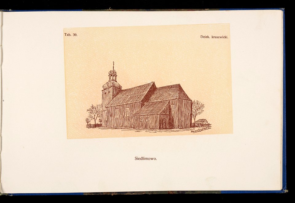 Album naszych zabytkow. T. 1, Koscioly drewniane. Cz. 1, Dyec. gnieznienska 1917 (83998458)