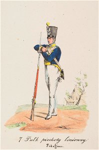 7 Pulk piechoty liniowey Podofficer 1829 (116306862)