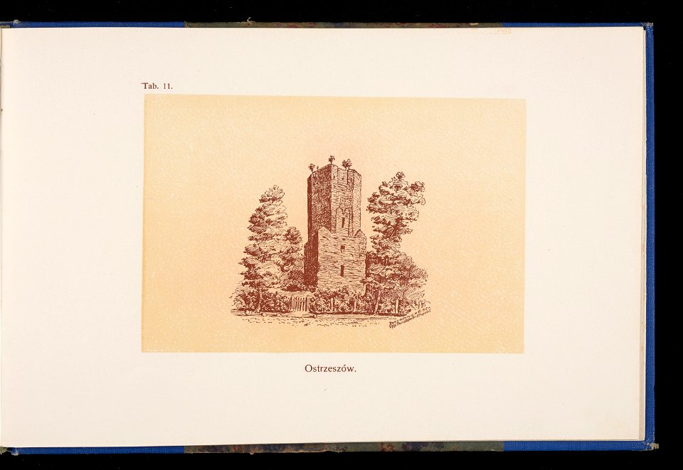 Album naszych zabytkow. T. 1, Koscioly drewniane. Cz. 1, Dyec. gnieznienska 1917 (84001810)