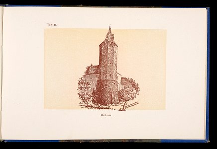 Album naszych zabytkow. T. 1, Koscioly drewniane. Cz. 1, Dyec. gnieznienska 1917 (84002260)