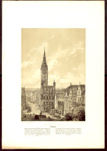 Album widokow przedstawiajacych miejsca historyczne Ksiestwa Poznanskiego i Prus Zachodnich 1880 (5414497)