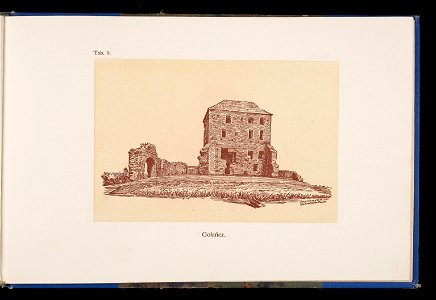 Album naszych zabytkow. T. 1, Koscioly drewniane. Cz. 1, Dyec. gnieznienska 1917 (84001567)